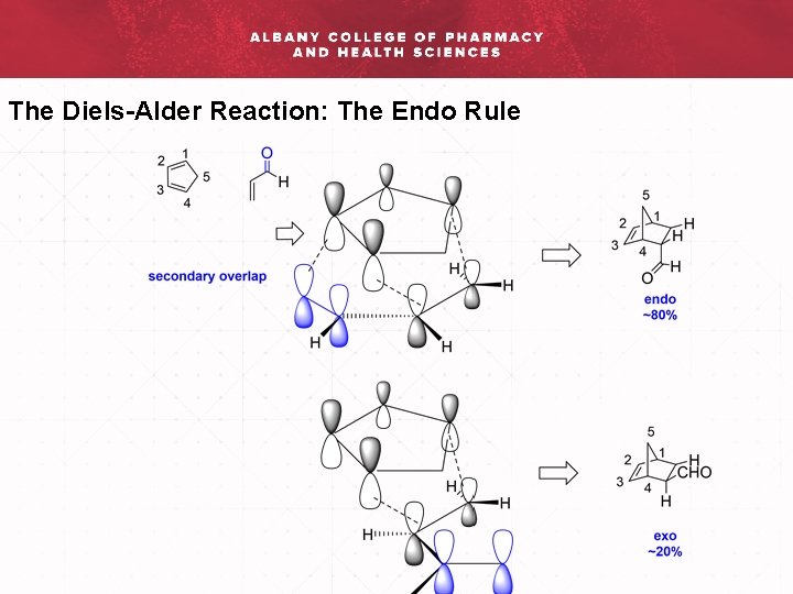 The Diels-Alder Reaction: The Endo Rule 