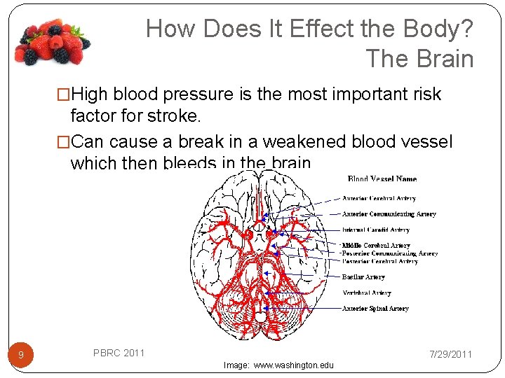 How Does It Effect the Body? The Brain �High blood pressure is the most