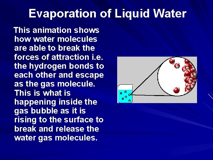 Evaporation of Liquid Water This animation shows how water molecules are able to break