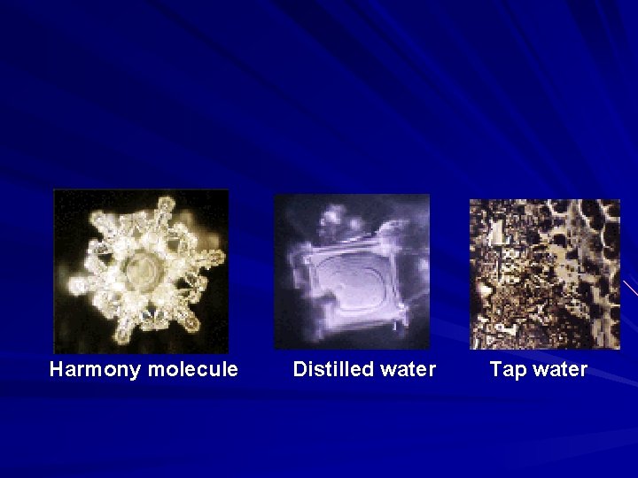 Harmony molecule Distilled water Tap water 