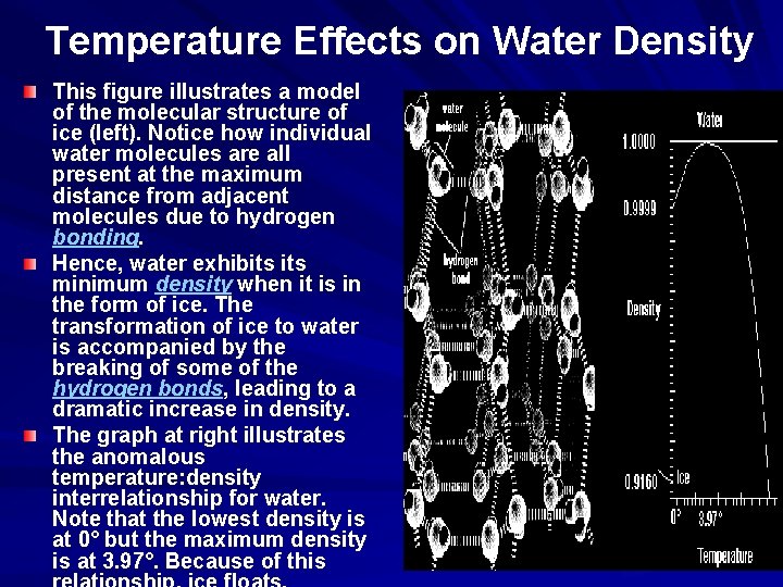 Temperature Effects on Water Density This figure illustrates a model of the molecular structure