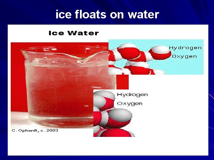 ice floats on water 