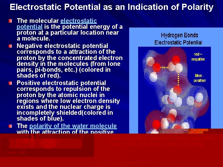 Electrostatic Potential as an Indication of Polarity The molecular electrostatic potential is the potential