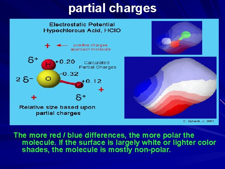 partial charges The more red / blue differences, the more polar the molecule. If