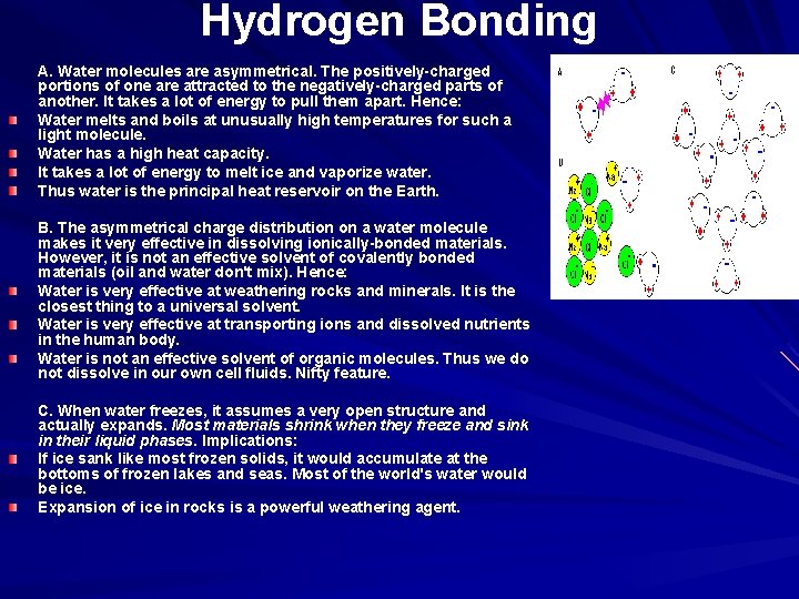 Hydrogen Bonding A. Water molecules are asymmetrical. The positively-charged portions of one are attracted