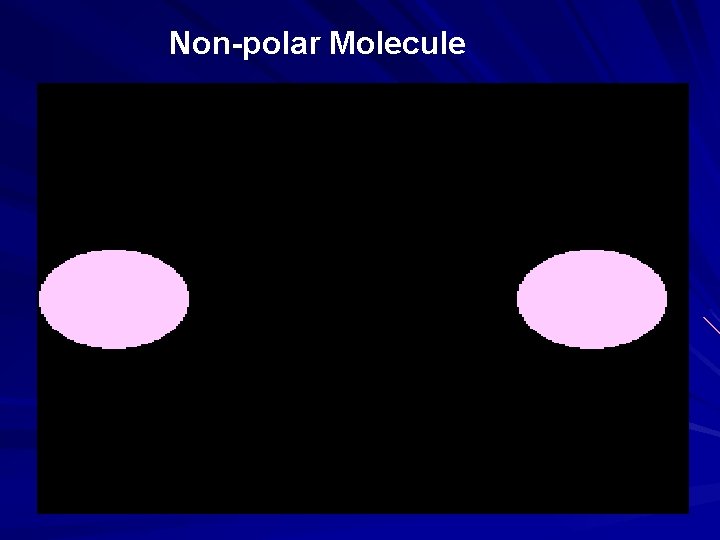  Non-polar Molecule 