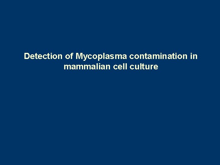 Detection of Mycoplasma contamination in mammalian cell culture 