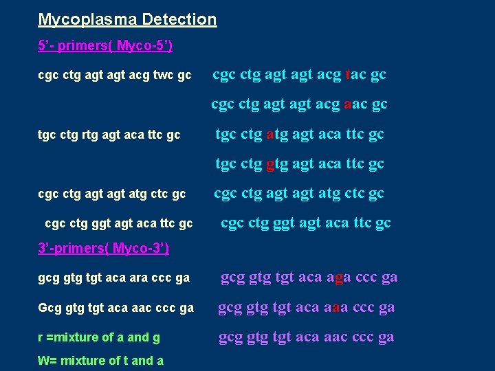 Mycoplasma Detection 5’- primers( Myco-5’) cgc ctg agt acg twc gc ctg agt acg