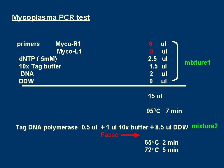 Mycoplasma PCR test primers Myco-R 1 Myco-L 1 d. NTP ( 5 m. M)