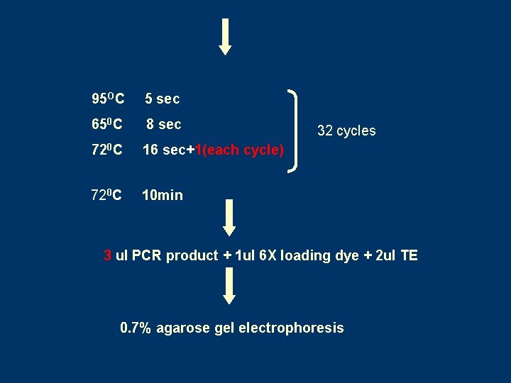 95 OC 5 sec 650 C 8 sec 720 C 16 sec+1(each cycle) 720