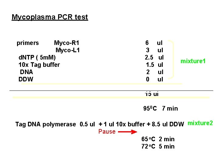 Mycoplasma PCR test primers Myco-R 1 Myco-L 1 d. NTP ( 5 m. M)