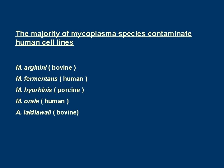 The majority of mycoplasma species contaminate human cell lines M. arginini ( bovine )