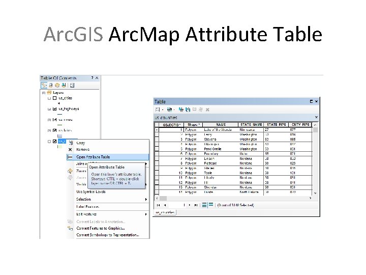 Arc. GIS Arc. Map Attribute Table 