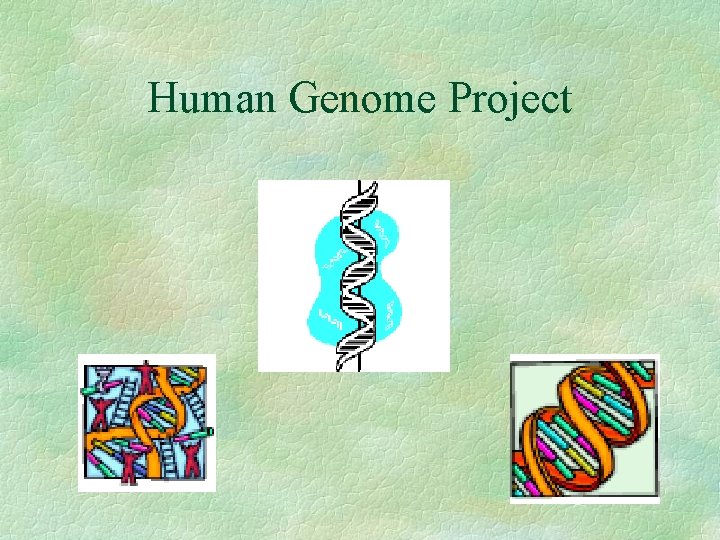 Human Genome Project 