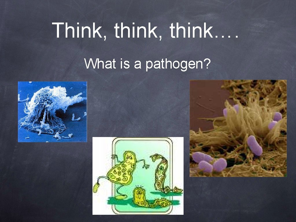 Think Think What Is A Pathogen Infection Is