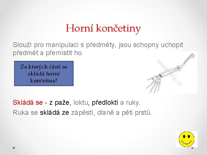 Horní končetiny Slouží pro manipulaci s předměty, jsou schopny uchopit předmět a přemístit ho.