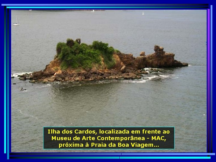 Ilha dos Cardos, localizada em frente ao Museu de Arte Contemporânea - MAC, próxima