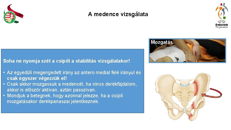A medence vizsgálata Mozgatás Soha ne nyomja szét a csípőt a stabilitás vizsgálatakor! • A medence vizsgálata Mozgatás Soha ne nyomja szét a csípőt a stabilitás vizsgálatakor! •