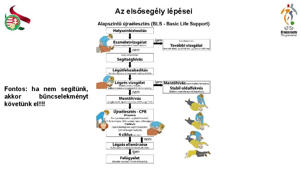 Az elsősegély lépései Fontos: ha nem segítünk, akkor bűncselekményt követünk el!!! Az elsősegély lépései Fontos: ha nem segítünk, akkor bűncselekményt követünk el!!!