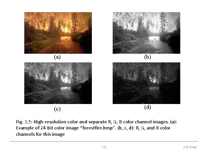 (a) (b) (c) (d) Fig. 3. 5: High-resolution color and separate R, G, B