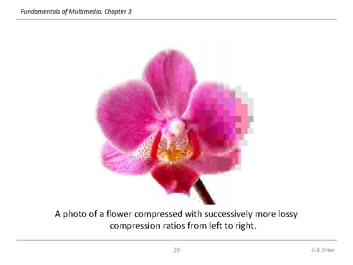 Fundamentals of Multimedia, Chapter 3 A photo of a flower compressed with successively more