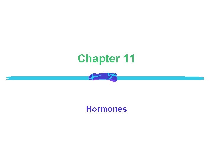 Chapter 11 Hormones 