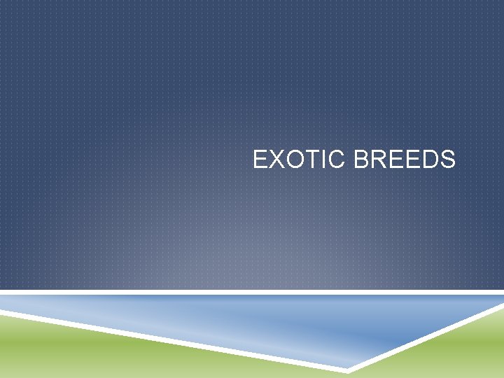 EXOTIC BREEDS 