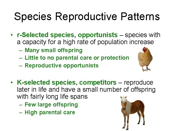 Species Reproductive Patterns • r-Selected species, opportunists – species with a capacity for a