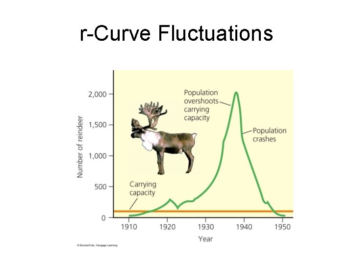 r-Curve Fluctuations 