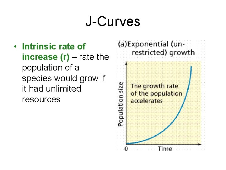 J-Curves • Intrinsic rate of increase (r) – rate the population of a species