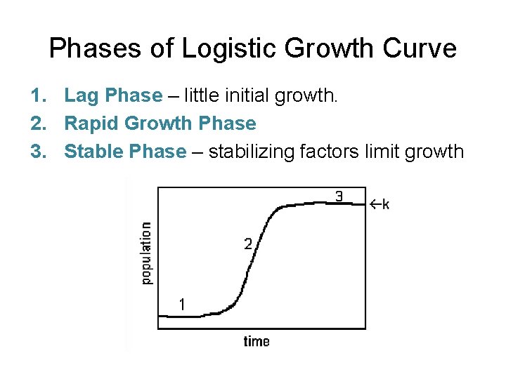 Phases of Logistic Growth Curve 1. Lag Phase – little initial growth. 2. Rapid