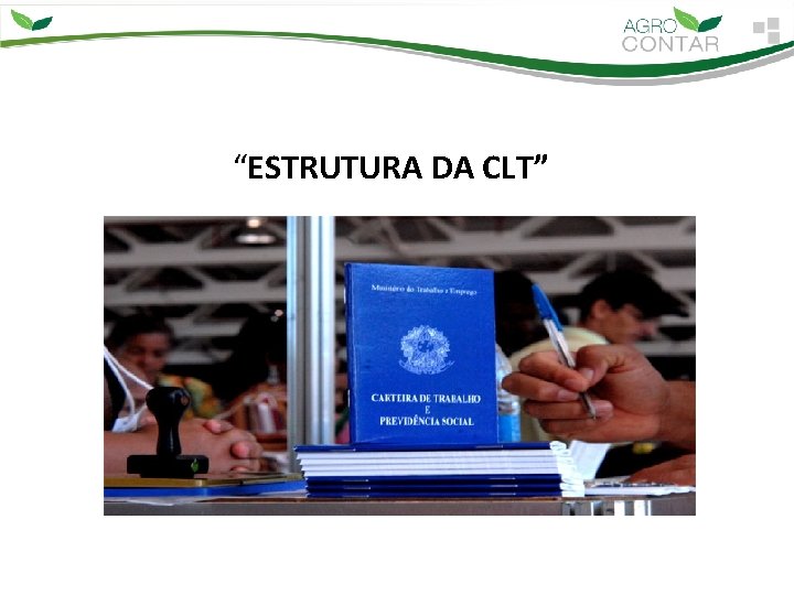 “ESTRUTURA DA CLT” 