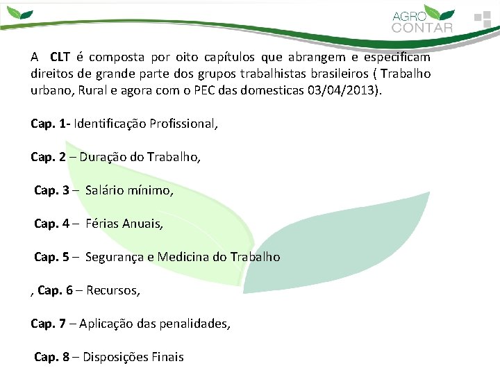 A CLT é composta por oito capítulos que abrangem e especificam direitos de grande