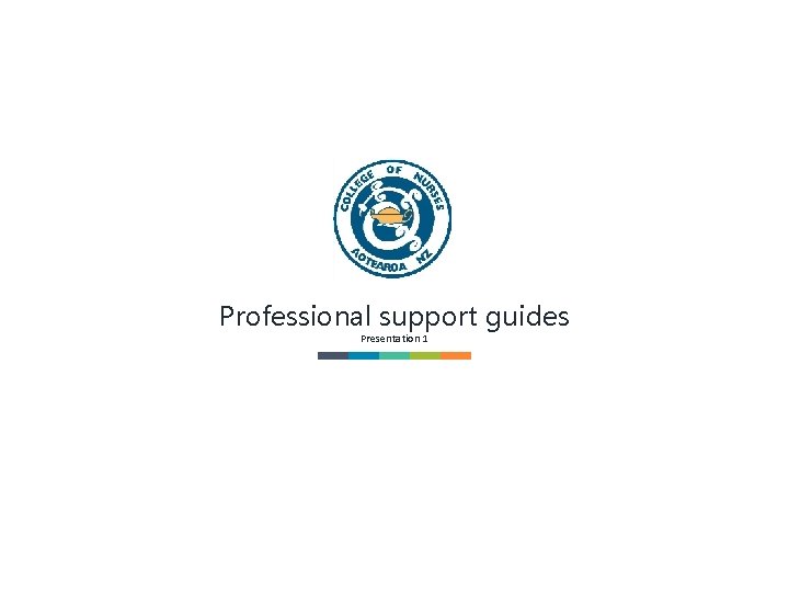 Professional support guides Presentation 1 