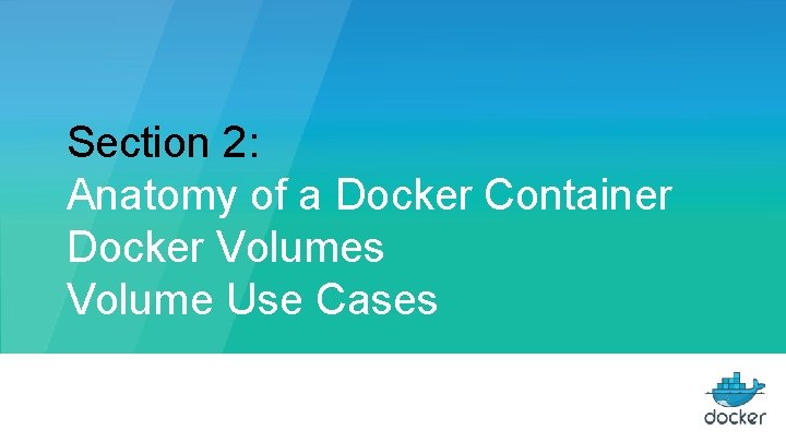 Section 2: Anatomy of a Docker Container Docker Volumes Volume Use Cases 