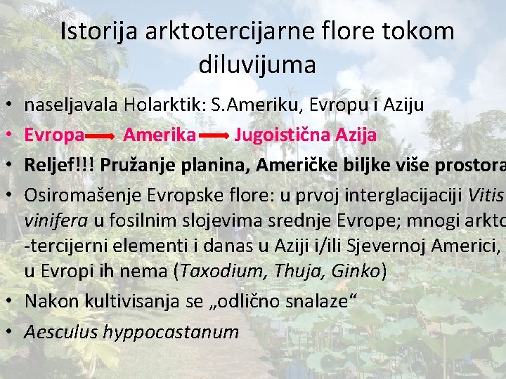 Istorija arktotercijarne flore tokom diluvijuma naseljavala Holarktik: S. Ameriku, Evropu i Aziju Evropa Amerika