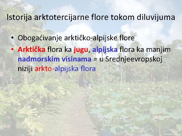 Istorija arktotercijarne flore tokom diluvijuma • Obogaćivanje arktičko-alpijske flore • Arktička flora ka jugu,