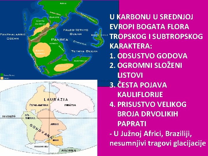 U KARBONU U SREDNJOJ EVROPI BOGATA FLORA TROPSKOG I SUBTROPSKOG KARAKTERA: 1. ODSUSTVO GODOVA