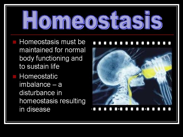 n n Homeostasis must be maintained for normal body functioning and to sustain life