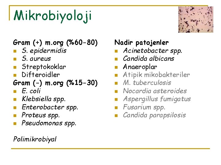 Mikrobiyoloji Gram (+) m. org (%60 -80) n S. epidermidis n S. aureus n