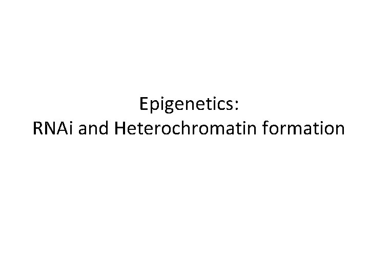 Epigenetics: RNAi and Heterochromatin formation Epigenetics: RNAi and Heterochromatin formation