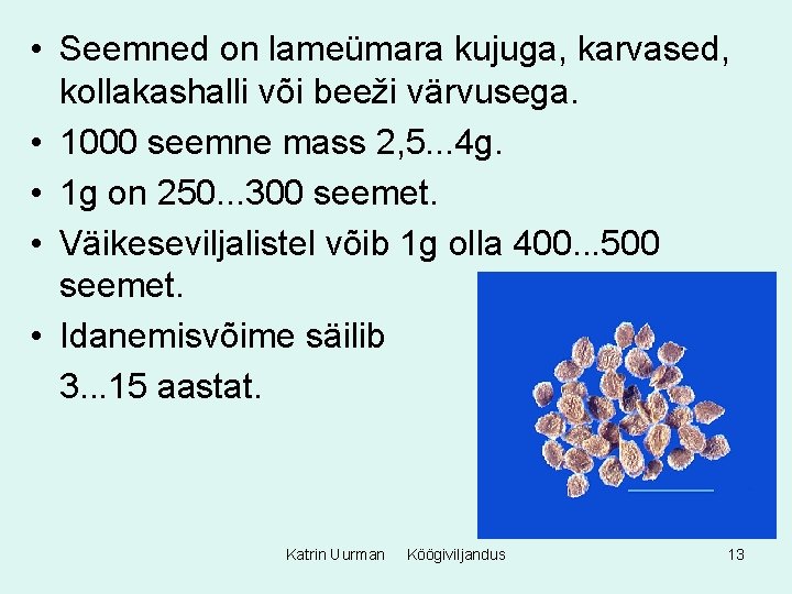  • Seemned on lameümara kujuga, karvased, kollakashalli või beeži värvusega. • 1000 seemne