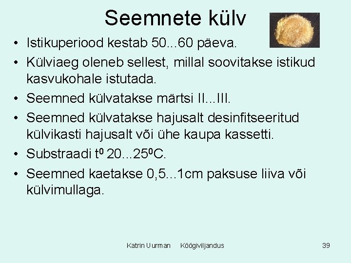 Seemnete külv • Istikuperiood kestab 50. . . 60 päeva. • Külviaeg oleneb sellest,