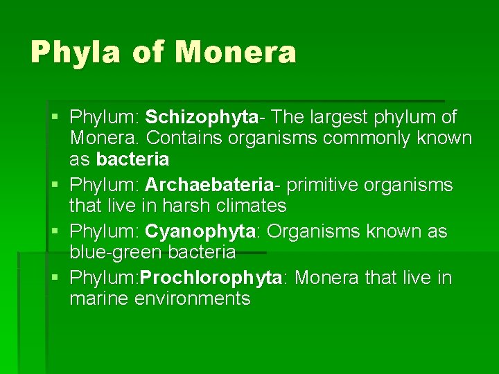 Phyla of Monera § Phylum: Schizophyta- The largest phylum of Monera. Contains organisms commonly