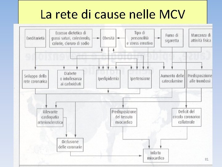 La rete di cause nelle MCV 81 