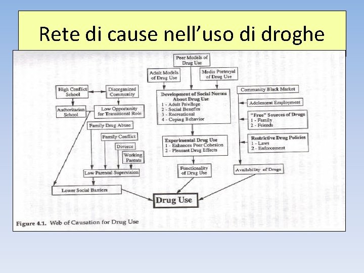 Rete di cause nell’uso di droghe 