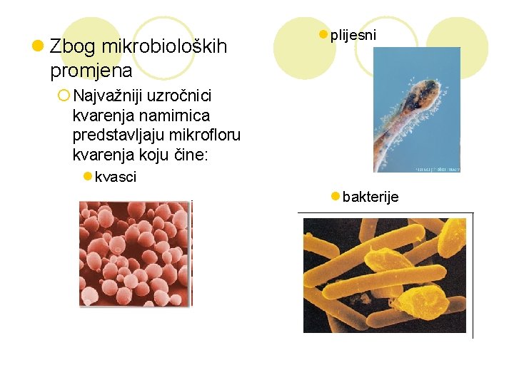 l Zbog mikrobioloških promjena l plijesni ¡ Najvažniji uzročnici kvarenja namirnica predstavljaju mikrofloru kvarenja