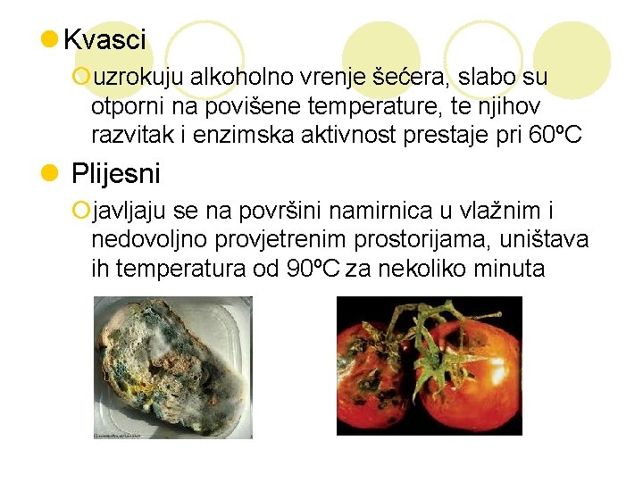 l Kvasci ¡uzrokuju alkoholno vrenje šećera, slabo su otporni na povišene temperature, te njihov