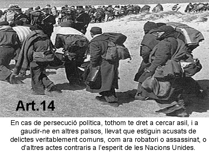 Art. 14 En cas de persecució política, tothom te dret a cercar asil, i