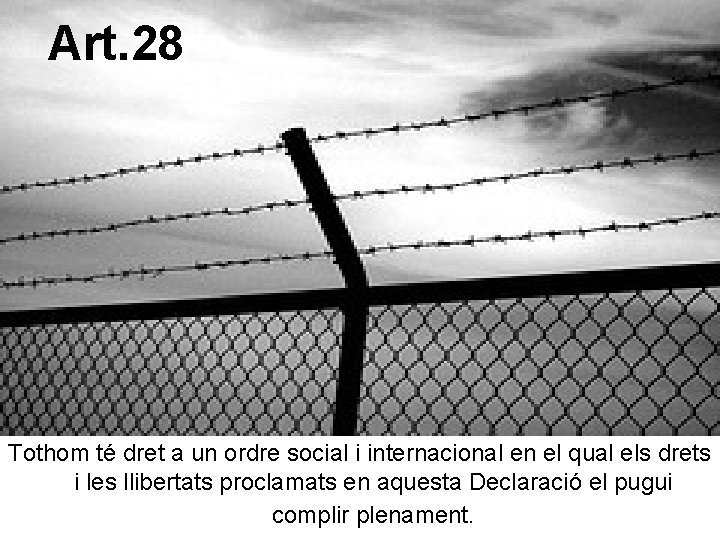 Art. 28 Tothom té dret a un ordre social i internacional en el qual